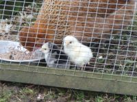 We're doing a jig..........