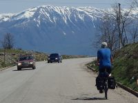 Bee eaters and other migrating creatures......